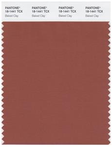 Pantone Smart 18-1441 TCX Color Swatch Card | Baked Clay 