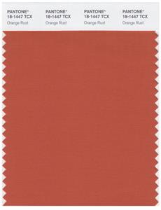 Pantone Smart 18-1447 TCX Color Swatch Card | Orange Rust 