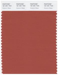 Pantone Smart 18-1451 TCX Color Swatch Card | Autumn Glaze 