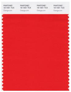 Pantone Smart 18-1561 TCX Color Swatch Card | Orange.com 