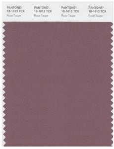 Pantone Smart 18-1612 TCX Color Swatch Card | Rose Taupe 