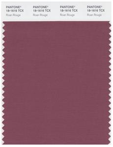 Pantone Smart 18-1616 TCX Color Swatch Card | Roan Rouge 