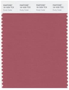 Pantone Smart 18-1630 TCX Color Swatch Card | Dusty Cedar 