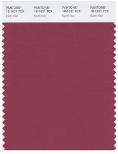 Pantone Smart 18-1631 TCX Color Swatch Card | Earth Red 