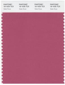 Pantone Smart 18-1635 TCX Color Swatch Card | Slate Rose 