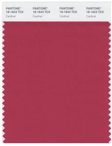 Pantone Smart 18-1643 TCX Color Swatch Card | Cardinal 