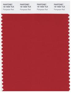 Pantone Smart 18-1658 TCX Color Swatch Card | Pompeian Red 