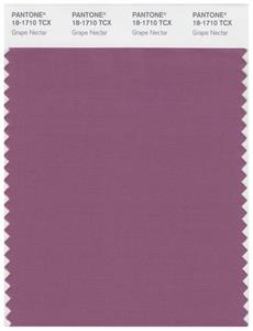 Pantone Smart 18-1710 TCX Color Swatch Card | Grape Nectar 