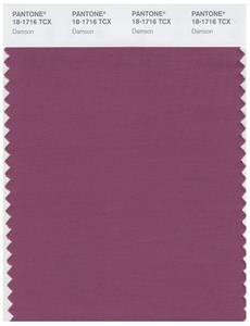 Pantone Smart 18-1716 TCX Color Swatch Card | Damson 