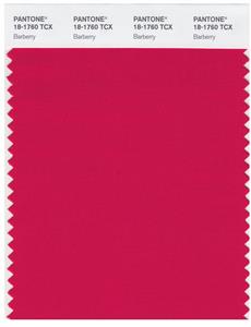 Pantone Smart 18-1760 TCX Color Swatch Card | Barberry 