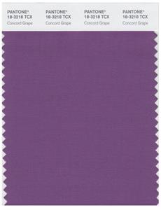 Pantone Smart 18-3218 TCX Color Swatch Card | Concord Grape 