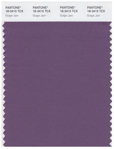 Pantone Smart 18-3415 TCX Color Swatch Card | Grape Jam 