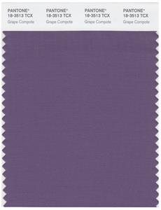 Pantone Smart 18-3513 TCX Color Swatch Card | Grape Compote 