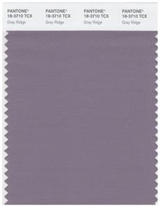 Pantone Smart 18-3710 TCX Color Swatch Card | Gray Ridge 