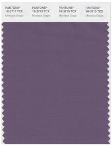 Pantone Smart 18-3715 TCX Color Swatch Card | Montana Grape 