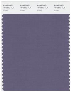 Pantone Smart 18-3812 TCX Color Swatch Card | Cadet 