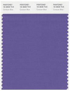 Pantone Smart 18-3828 TCX Color Swatch Card | Corsican Blue 