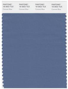 Pantone Smart 18-3922 TCX Color Swatch Card | Coronet Blue 