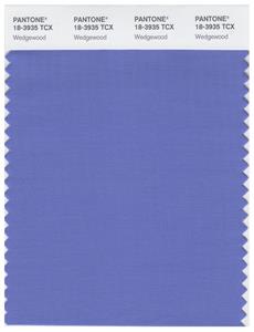 Pantone Smart 18-3935 TCX Color Swatch Card | Wedgewood 