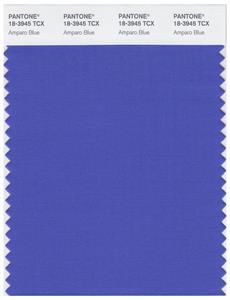 Pantone Smart 18-3945 TCX Color Swatch Card | Amparo Blue 