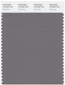 Pantone Smart 18-4005 TCX Color Swatch Card | Steel Gray 