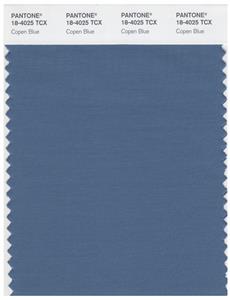 Pantone Smart 18-4025 TCX Color Swatch Card | Copen Blue 