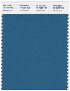 Pantone Smart 18-4225 TCX Color Swatch Card | Saxony Blue 