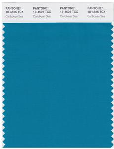 Pantone Smart 18-4525 TCX Color Swatch Card | Caribbean Sea 