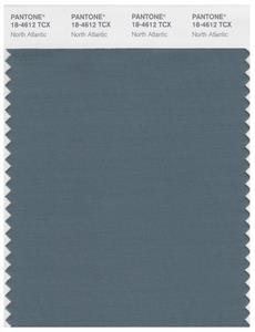 Pantone Smart 18-4612 TCX Color Swatch Card | North Atlantic 