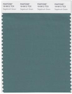 Pantone Smart 18-5612 TCX Color Swatch Card | Sagebrush Green 