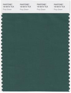 Pantone Smart 18-5616 TCX Color Swatch Card | Posy Green 