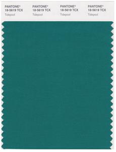 Pantone Smart 18-5619 TCX Color Swatch Card | Tidepool 