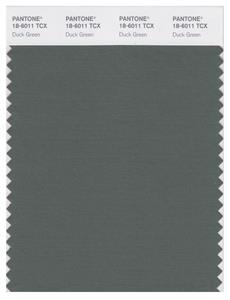 Pantone Smart 18-6011 TCX Color Swatch Card | Duck Green 