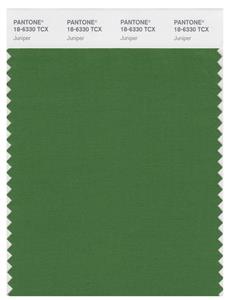 Pantone Smart 18-6330 TCX Color Swatch Card | Juniper 