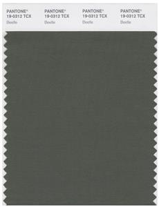 Pantone Smart 19-0312 TCX Color Swatch Card | Beetle 