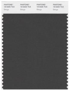 Pantone Smart 19-0405 TCX Color Swatch Card | Beluga 