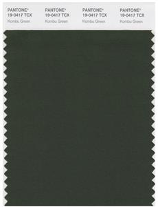 Pantone Smart 19-0417 TCX Color Swatch Card | Kombu Green 