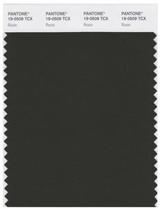 Pantone Smart 19-0509 TCX Color Swatch Card | Rosin 