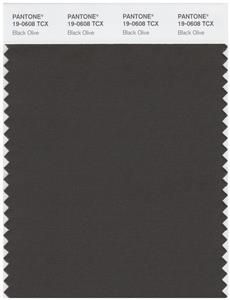 Pantone Smart 19-0608 TCX Color Swatch Card | Black Olive 