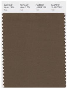 Pantone Smart 19-0617 TCX Color Swatch Card | Teak 