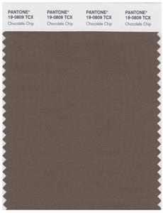 Pantone Smart 19-0809 TCX Color Swatch Card | Chocolate Chip 