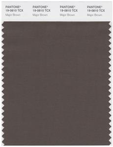 Pantone Smart 19-0810 TCX Color Swatch Card | Major Brown 