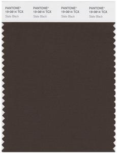 Pantone Smart 19-0814 TCX Color Swatch Card | Slate Black 