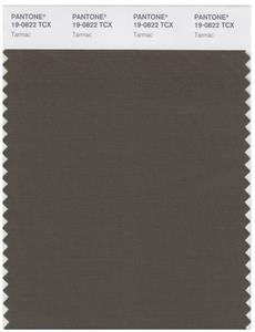 Pantone Smart 19-0822 TCX Color Swatch Card | Tarmac 