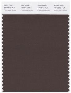 Pantone Smart 19-0912 TCX Color Swatch Card | Chocolate Brown 