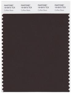 Pantone Smart 19-0915 TCX Color Swatch Card | Coffee Bean 