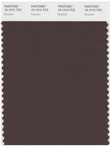 Pantone Smart 19-1015 TCX Color Swatch Card | Bracken 