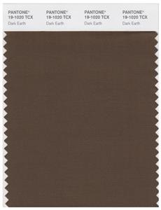 Pantone Smart 19-1020 TCX Color Swatch Card | Dark Earth 