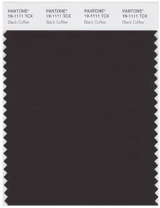 Pantone Smart 19-1111 TCX Color Swatch Card | Black Coffee 