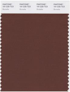 Pantone Smart 19-1235 TCX Color Swatch Card | Brunette 